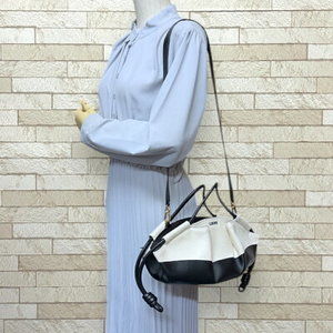 Loewe Bag Paseo Bag Leather Shoulder Beige